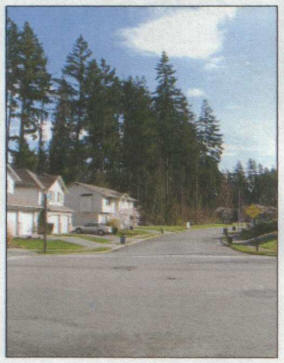 TR2006-10.jpg
